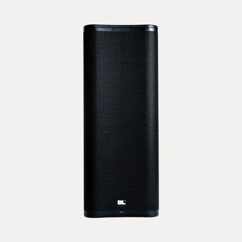 Cabina Amplificada Profesional doble Parlante de 15 pulgadas | BL-7215DSP