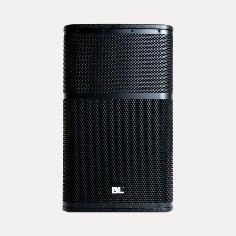 Cabina Amplificada Profesional de 15 pulgadas | BL-8015DSP