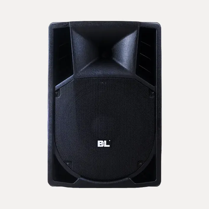 Cabina Amplificada de Audio de 15’’ | RXA15P480UBFM