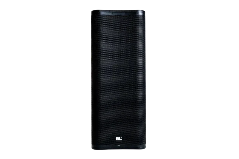 Cabina Amplificada Profesional doble Parlante de 15 pulgadas | BL-7215DSP