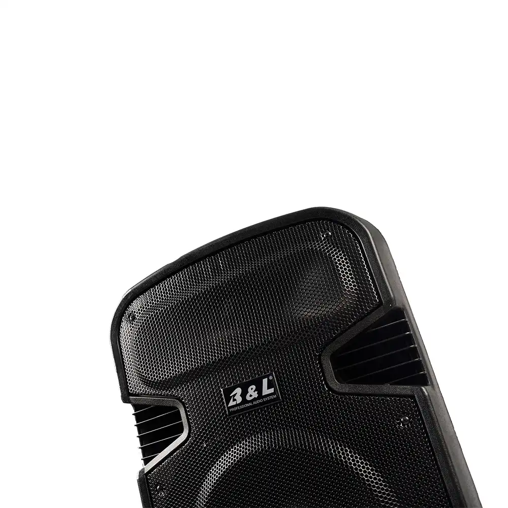 COMBO CABINA AMPLIFICADA DOBLE 15" + BAJO ACTIVO 15" 600W - Imagen 4