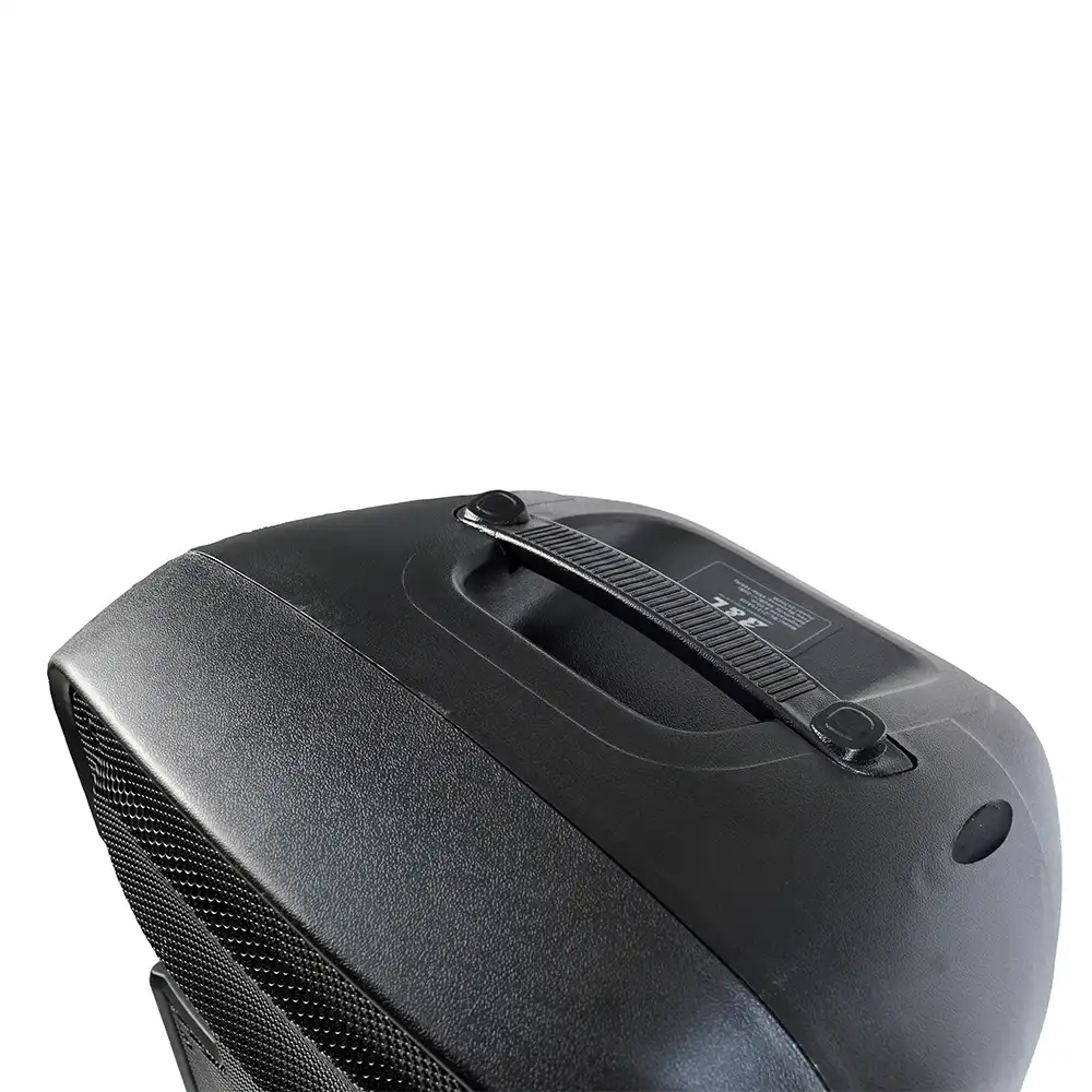 COMBO CABINA AMPLIFICADA DOBLE 15" + BAJO ACTIVO 15" 600W - Imagen 5