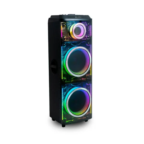 CABINA RECARGABLE DOBLE PARLANTE DE 2X12 | PT212J