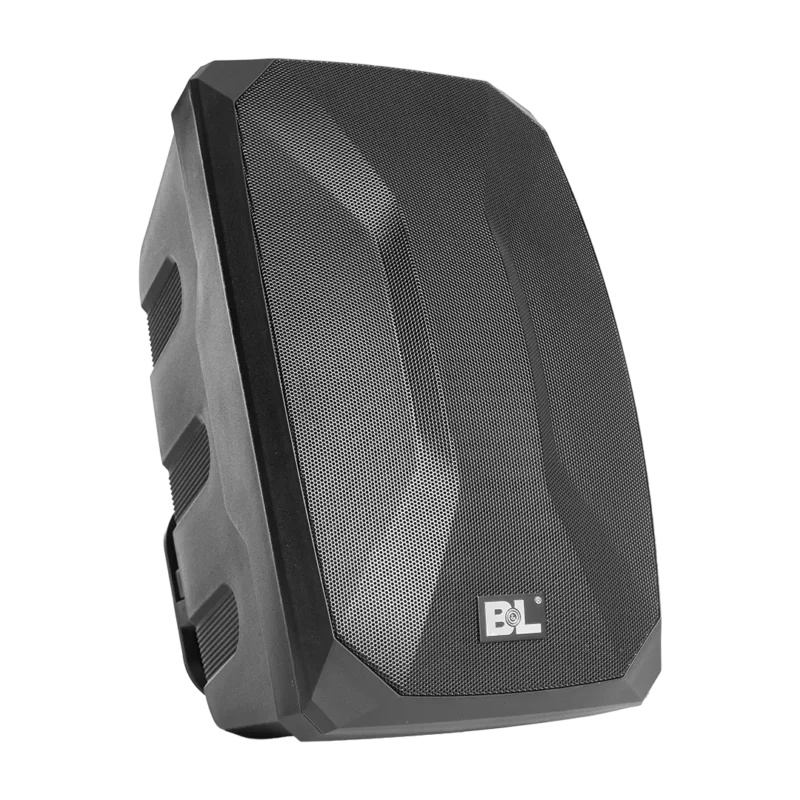 BL-0106 BLACK - ALTAVOZ PASIVO 6.5" DE 2 VÍAS - Imagen 2
